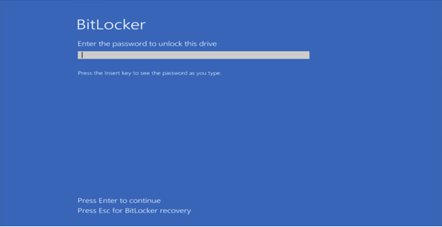 A blue screen with white text
Description automatically generated