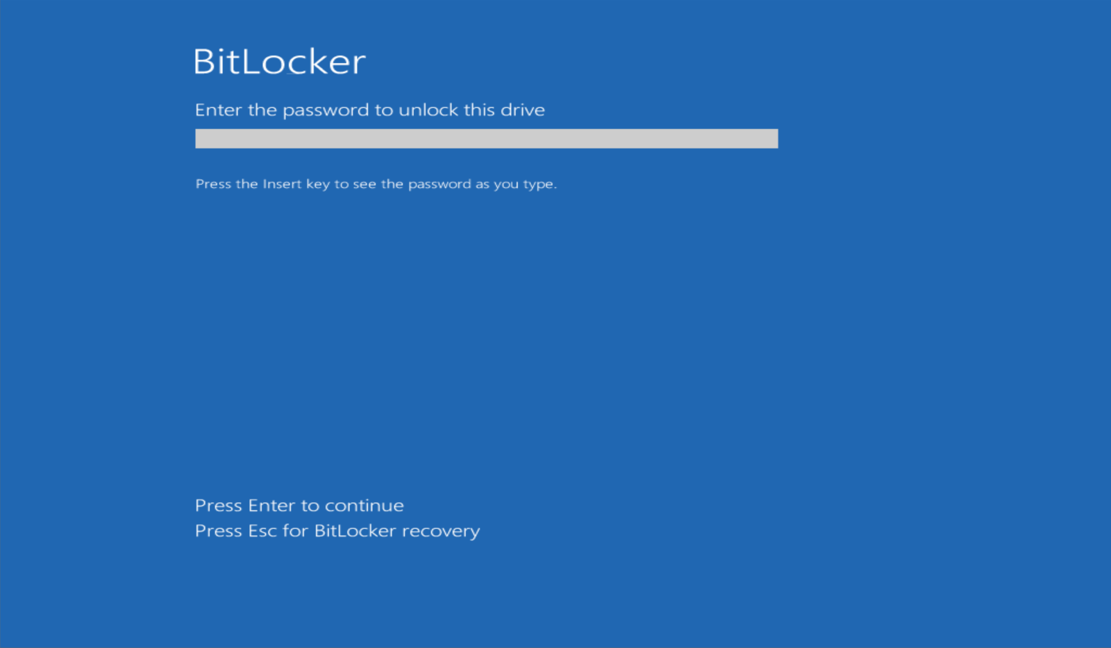 A blue screen with white text
Description automatically generated